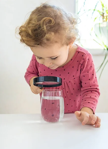 Barnet Undersöker Vattnet Ett Förstoringsglas Selektivt Fokus Grabben — Stockfoto
