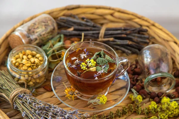 Травяной Чай Лекарственными Травами Цветами Выборочный Фокус Пейте — стоковое фото