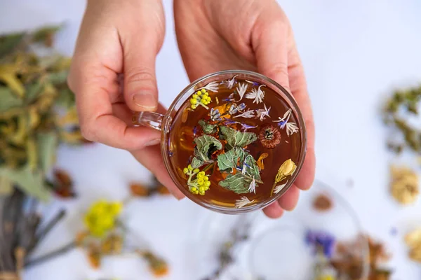 Tisane Aux Herbes Médicinales Fleurs Concentration Sélective Buvez — Photo