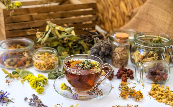Φυτικό Τσάι Φαρμακευτικά Βότανα Και Λουλούδια Επιλεκτική Εστίαση Πιες — Φωτογραφία Αρχείου