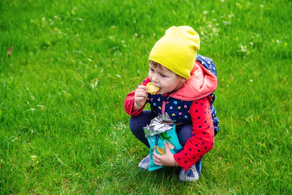 Bambino Mangia Patatine Nel Parco Concentrazione Selettiva Natura — Foto Stock
