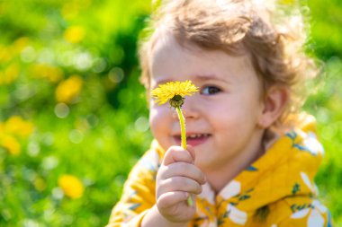 Bahçedeki bir çocuk baharda çiçek açan karahindibaları kokluyor. Seçici odaklanma. Doğa.