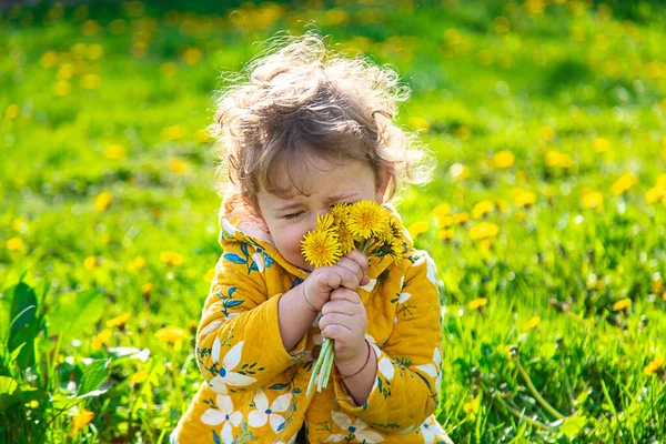 Ein Kind Garten Schnuppert Blühenden Löwenzahn Frühling Selektiver Fokus Natur — Stockfoto