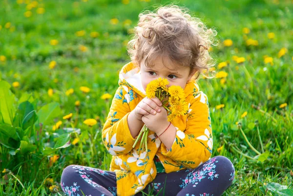 Uma Criança Jardim Fareja Dentes Leão Florescendo Primavera Foco Seletivo — Fotografia de Stock