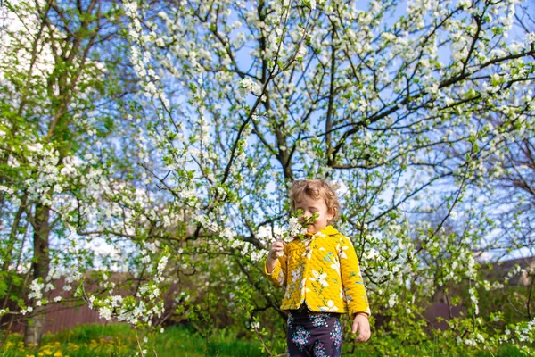 庭の子供は開花春の木を嗅ぐ 選択的フォーカス キッド — ストック写真