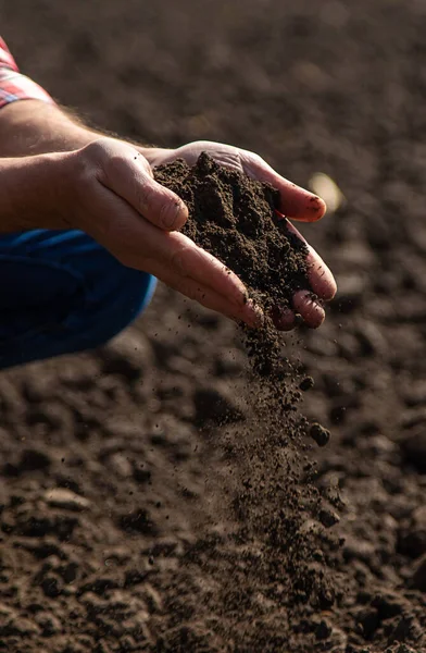 田里的男农场主检查土壤 有选择的重点 — 图库照片