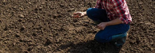 Mužský Farmář Poli Kontroluje Půdu Selektivní Soustředění Nature — Stock fotografie