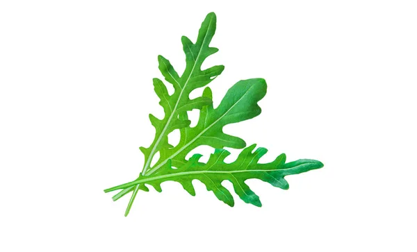 Arugula Leaves Isolate White Background Selective Focus Food — Stock Photo, Image