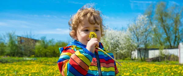 Bambino Allergico Fiori Concentrazione Selettiva Natura — Foto Stock
