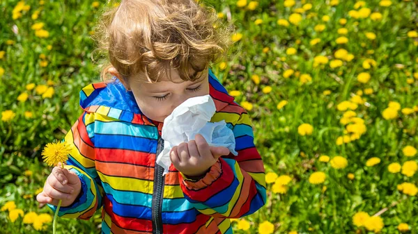 Criança Alérgica Flores Foco Seletivo Natureza — Fotografia de Stock