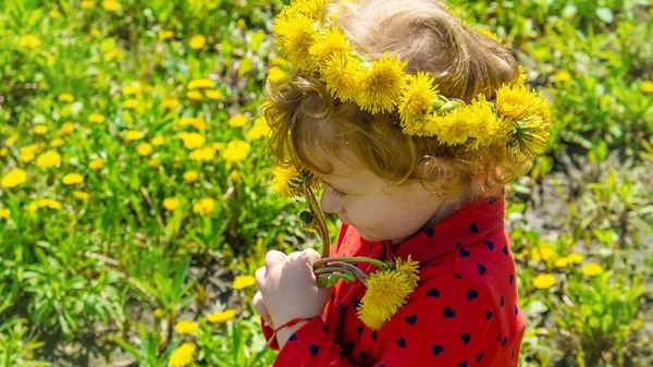 Ein Kind Einem Feld Aus Gelben Löwenzahn Selektiver Fokus Natur — Stockfoto