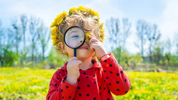 Egy Gyerek Nagyítóval Vizsgálja Növényeket Szelektív Fókusz Természet — Stock Fotó