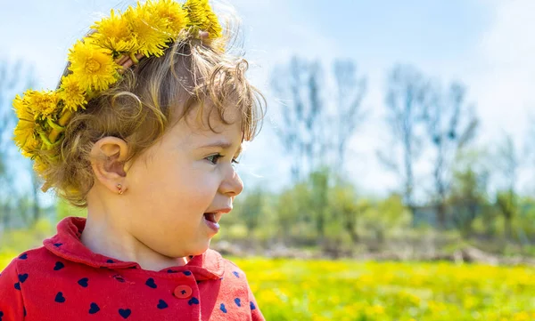 Uma Criança Num Campo Dentes Amarelos Foco Seletivo Natureza — Fotografia de Stock