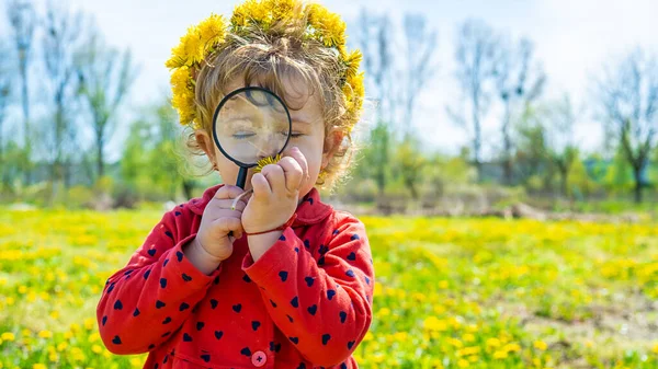 Ein Kind Untersucht Pflanzen Mit Der Lupe Selektiver Fokus Natur — Stockfoto