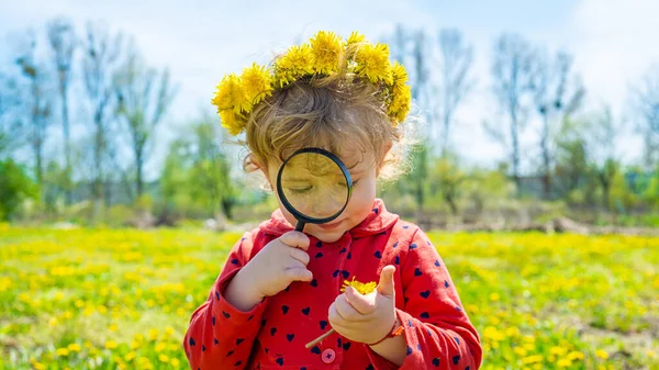 Дитина Вивчає Рослини Збільшувальним Склом Вибірковий Фокус Природа — стокове фото