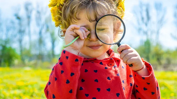 Uma Criança Examina Plantas Com Uma Lupa Foco Seletivo Natureza — Fotografia de Stock