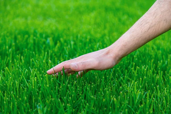 芝生の芝生と男性農家の手 選択的フォーカス — ストック写真