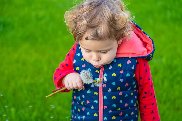 Das Kind Bläst Einen Löwenzahn Selektiver Fokus Natur — Stockfoto