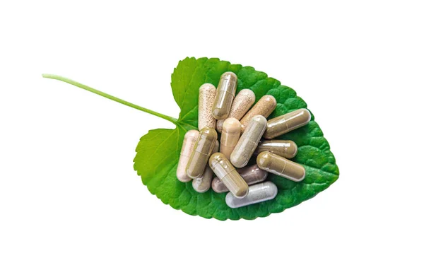 Herb Supplement Capsules Green Leaf Isolate White Background Selective Focus — Stock Photo, Image