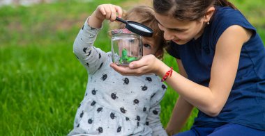 Doğada bir kertenkeleyle çocuk. Seçici odaklanma. Çocuk.