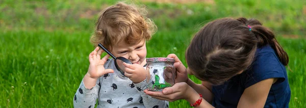 トカゲと自然の中で子供 選択的フォーカス キッド — ストック写真
