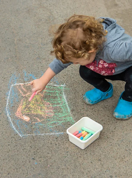Children Draw Chalk Pavement Selective Focus Kid — Stockfoto