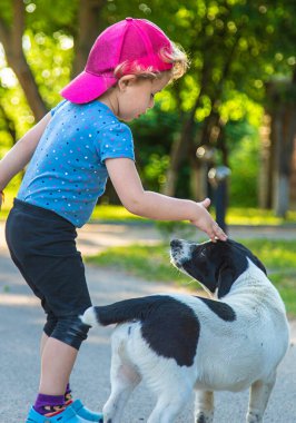 Bir çocuk parkta küçük bir köpekle oynuyor. Seçici odaklanma. Doğa.