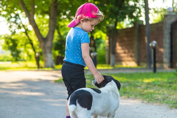 一个小孩在公园里和一条小狗玩耍 有选择的重点 — 图库照片