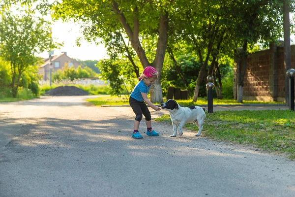 子供は公園で小さな犬と遊ぶ 選択的フォーカス — ストック写真