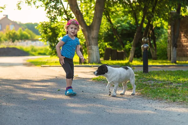 子供は公園で小さな犬と遊ぶ 選択的フォーカス — ストック写真