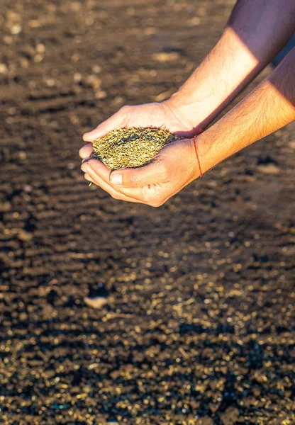 農家は芝生を刈る 選択的フォーカス — ストック写真