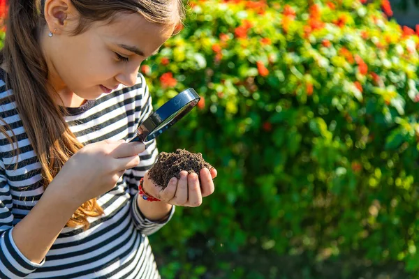 Anak Anak Memeriksa Tanah Dengan Kaca Pembesar Fokus Selektif Anak — Stok Foto