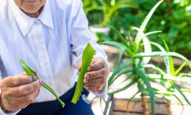 Yaşlı kadın aloe vera suyu ile tedavi edildi. Seçici odaklanma. Doğa.