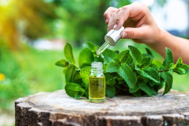 Şişe içindeki nane yağı. Seçici odaklanma. Doğa.