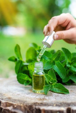 Şişe içindeki nane yağı. Seçici odaklanma. Doğa.