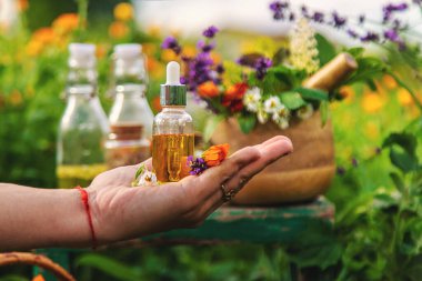 Bitkiler, bitkiler, doğa, alternatif tıp. Seçici odak Doğa