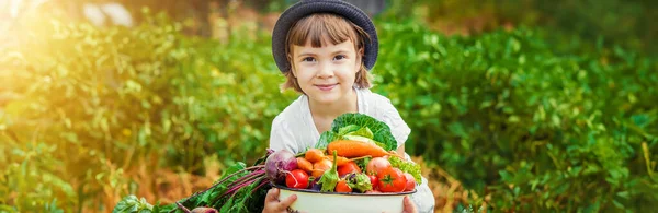 子供と野菜 選択的フォーカス食品 — ストック写真