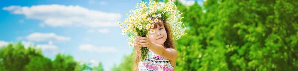Das Mädchen Hält Kamillenblüten Ihren Händen Selektiver Fokus Natur — Stockfoto