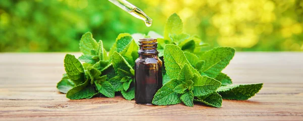 Peppermint Essential Oil Small Bottle Selective Focus Nature — Stock Photo, Image