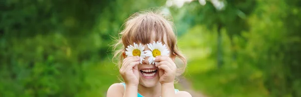 Das Mädchen Hält Kamillenblüten Ihren Händen Selektiver Fokus Natur — Stockfoto