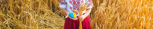 Enfant Dans Champ Blé Dans Vyshyvanka Concept Fête Indépendance Ukraine — Photo