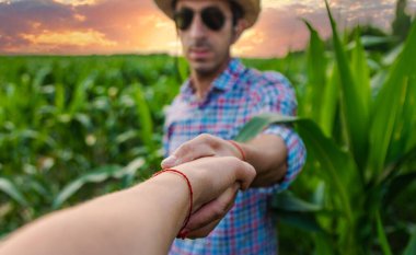 Çiftçi adam mısır tarlasını kontrol ediyor. Seçici odaklanma. Doğa.