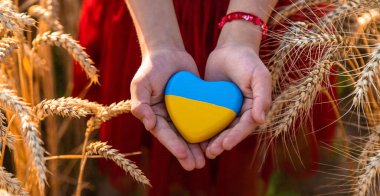 Ukrayna bayrağıyla buğday tarlasında bir çocuk. Seçici odaklanma. Doğa.