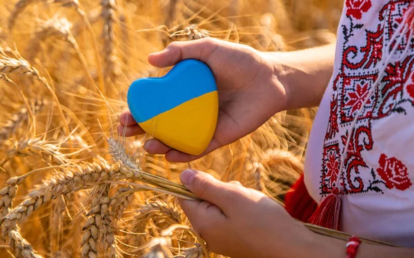 Ребенок Поле Пшеницы Флагом Украины Выборочный Фокус Природа — стоковое фото