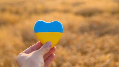 Buğday tarlasında Ukrayna bayrağı. Seçici odaklanma. Doğa.