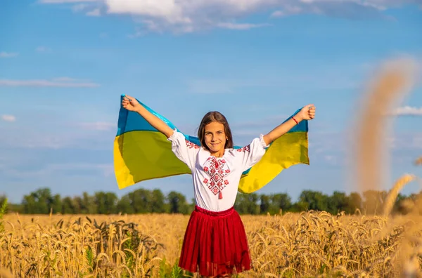 Criança Campo Trigo Com Bandeira Ucrânia Foco Seletivo Miúdo — Fotografia de Stock