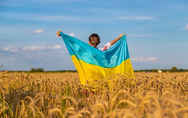 Enfant Dans Champ Blé Avec Drapeau Ukraine Concentration Sélective Enfant — Photo