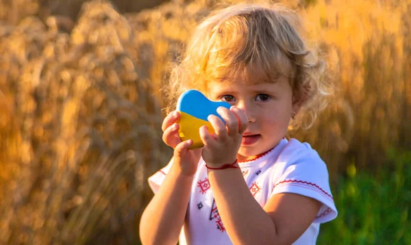 stock image Child in a field of wheat with the flag of Ukraine. Selective focus. Nature.