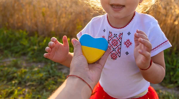 Criança Campo Trigo Com Bandeira Ucrânia Foco Seletivo Natureza — Fotografia de Stock