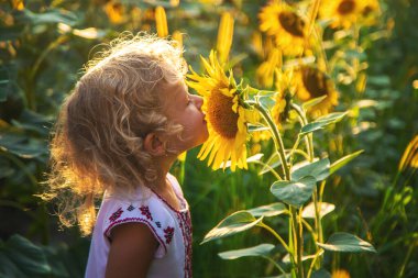 Ukrayna 'da ayçiçeği tarlasında bir çocuk. Seçici odaklanma. Doğa.